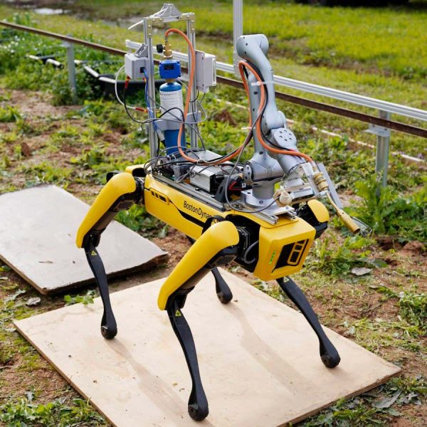 Robot dog can stifle weeds by blasting them with a flamethrower