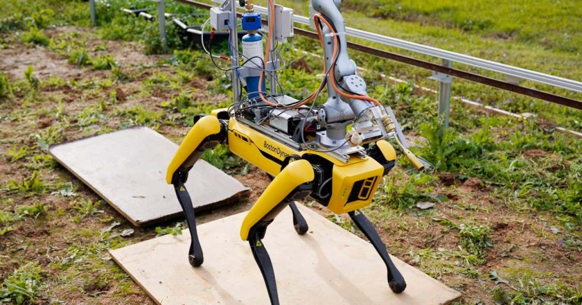 Robot dog can stifle weeds by blasting them with a flamethrower