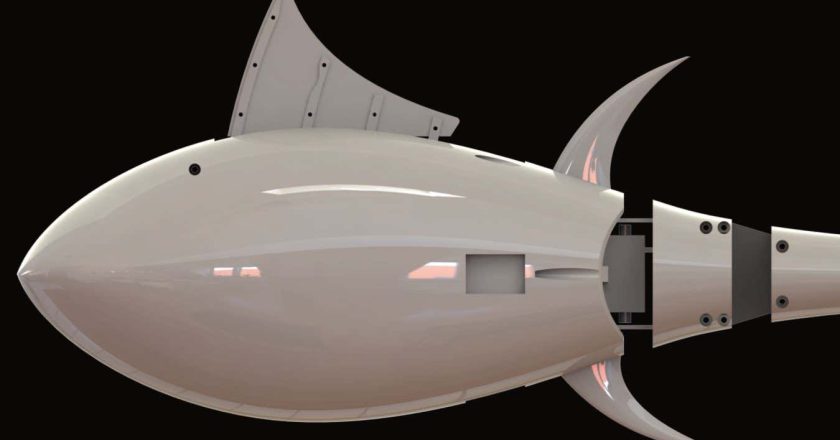 Robo-tuna reveals how foldable fins help the speedy fish manoeuvre