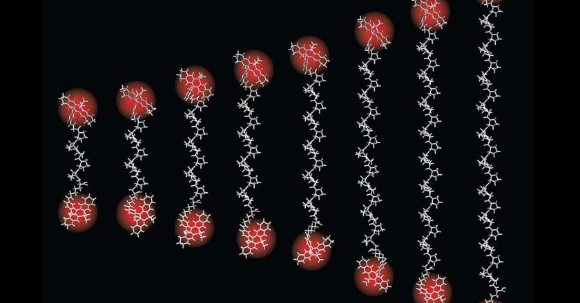 Tiniest ‘ruler’ ever measures distances as small as an atom’s width