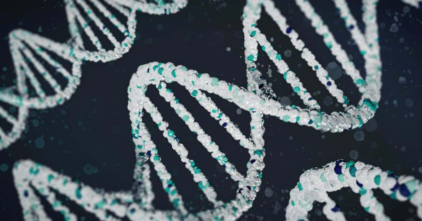 DNA has been modified to make it store data 350 times faster