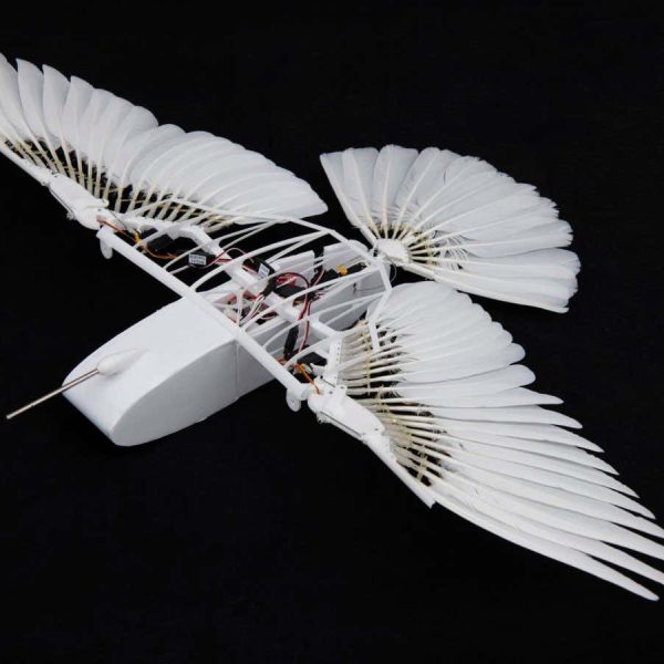 Robotic pigeon reveals how birds fly without a vertical tail fin