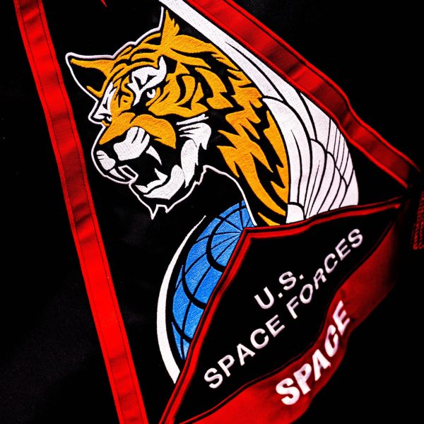 S4S establishes strategic vision after first year of successes > United States Space Force > Article Display