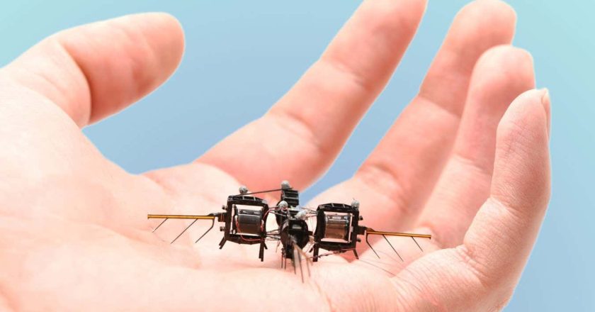 Tiny insect-like robot can flip, loop and hover for up to 15 minutes