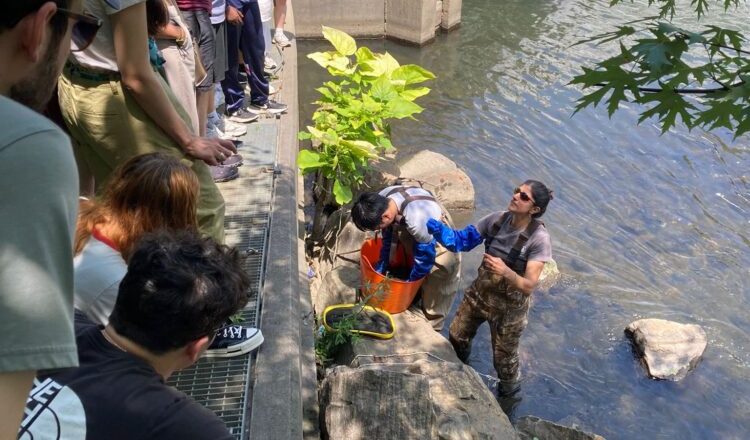 Field Lessons From Randall’s Island to Bronx Park East – State of the Planet